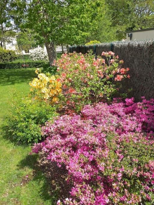 Petit Havre De Paix Apartment Vannes Luaran gambar